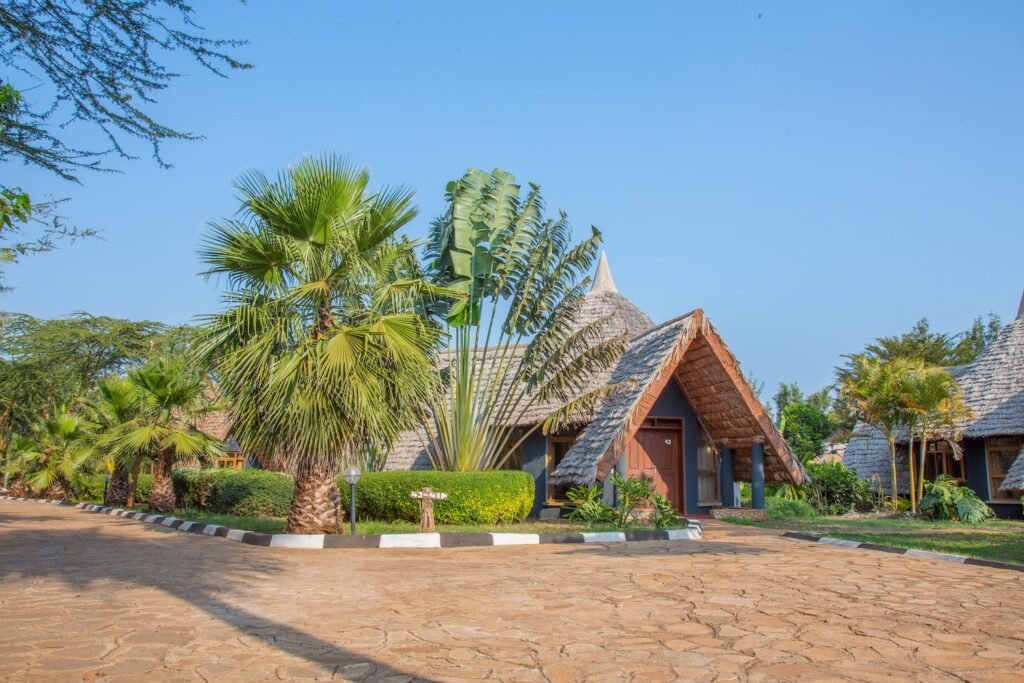 Palms and thatched roofs across the grounds at Farm of Dreams Lodge, Karatu